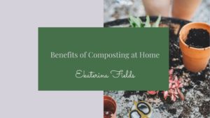 Benefits Of Composting At Home