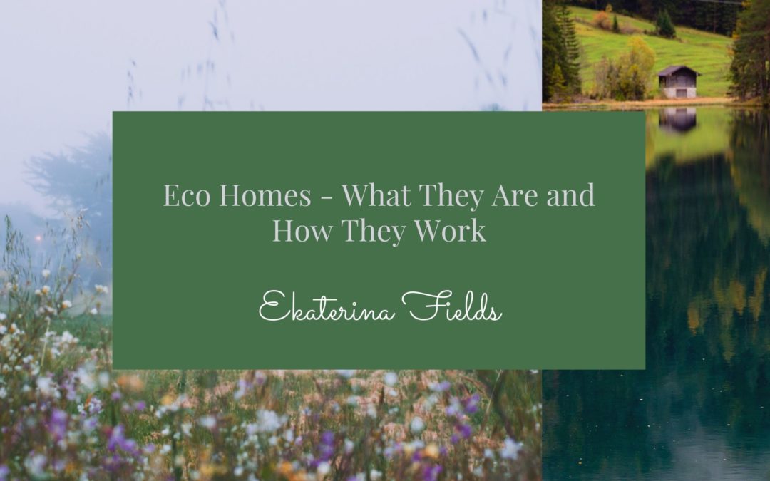Eco Homes – What They Are and How They Work