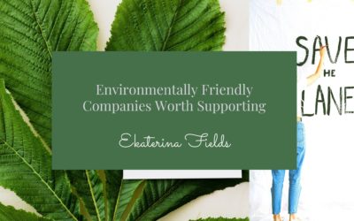 Environmentally Friendly Companies Worth Supporting