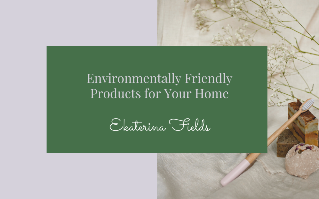 Environmentally Friendly Products for Your Home