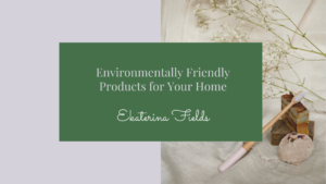 Environmentally Friendly Products For Your Home